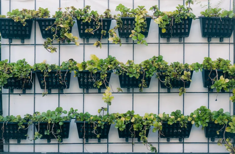 Verde que Transforma: Como Integrar Jardins Verticais e Hortas ao Interior da sua Casa